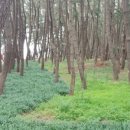 언제든학교 기획단 양성과정 6기 이미지