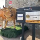 너구리 | [홍천숙소]올라운드원_6라운드 후기_노천탕펜션 (크리스마스숙소)