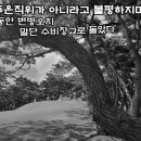 아산충무공이순신장군묘를찾아서22,7 이미지