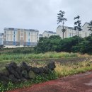 삼화 세탁소 이미지