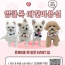 엉클독 애견유치원 네이버블로그