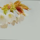 낙원요양원 | 포천요양원 낙원의집 만족도 높은 이유와 추천포인트