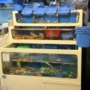 강남-026 이미지