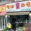 현대꽃화원