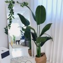 오거리스튜디오