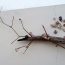 섬in섬 연홍미술관 이미지