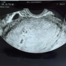 웰하이여성아동병원 이미지