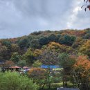 구곡촌두부 | 춘천 가을 가볼만한 곳 문배마을 맛집 장씨네