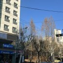 사임당로 115 (1) 이미지