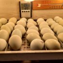 청계슈퍼 이미지