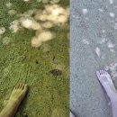 전북특별자치도교육청순창도서관 | [25년 순창살이 3일차] 순창 강천산 군립공원 계곡...19첩 밥상, 군립도서관에서 쫓겨나보기^^, 야간...