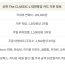 동산항공여행사