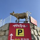 성화식육식당 | 경산 소고기맛집 주말 웨이팅 후기 성화식육식당