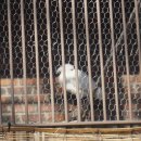 종보농장 이미지