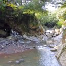 제주 방선문 이미지