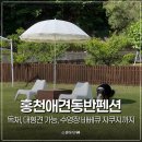 홍천강그린팬션 | 강원도 홍천 독채 애견동반펜션 대형견 가능, 수영장 자쿠지 있는 숙소