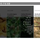라포레스트