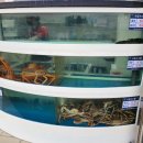 대게풍년 이미지