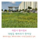 해들마을 6단지 609동 인근 | 세종시행사정보 대평동 해바라기없는 해바라기한마당 아기랑갈만한곳 일까