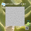 다이손 이미지