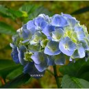 유달산 조각공원 이미지