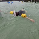 판포바다향기 이미지