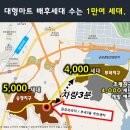더마트송정
