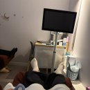 (주)오색만찬 | [임신기록] 임신 36-38주 / 위대한탄생여성의원 막달검사, 태동검사 / gbs균 양성 / 막달 증상 가진통