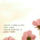 레옹여관 이미지