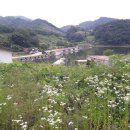 풀만부동산중개 Daum카페