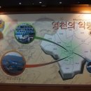 영천 한의학의 역사와 사상의학 그리고 음양오행