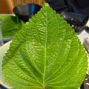 경마공원역 1번출구 | 경마공원 맛집 신선한 횟감이 가득한 목포명가 과천점