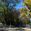 오늘 교동 이미지