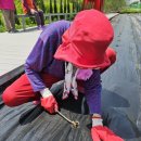 산책하는요양원 이미지