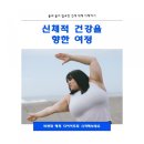 황금비앤채
