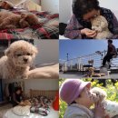 이장원농장 이미지