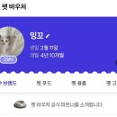 바버펫 | 네이버 펫 바우처 앰버서더 3기 동그람이 협업 이나바 챠오츄르