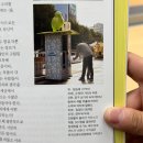 공공용 28 | 새 포토카드 가챠 후기 - 2025 청계천 공공미술 프로젝트