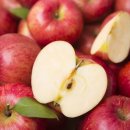 남양청과 이미지