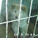 묵2동-003 이미지