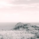 녹산등대가는길 이미지