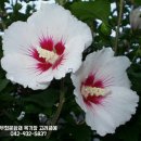 덤바위경로당 이미지