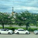 고고PT&WOMEN 이미지