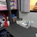 유자네 댕댕이 이미지