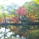 풍경쉼터 이미지