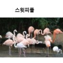 스윗 피플 이미지