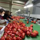 운봉농협 농산물산지유통센터 이미지