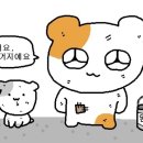 지베젤라