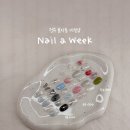 네일위크(Nail week)