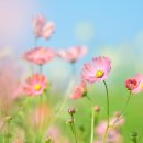 상신공인중개사사무소 이미지